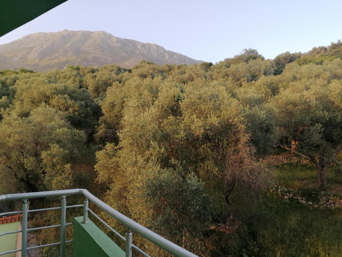 Green Dolphin Διαμέρισμα Bar Εξωτερικό φωτογραφία